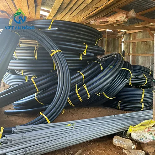 giai phap tuoi goc cho cay sau rieng 7