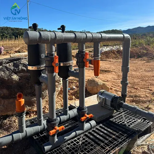 giai phap tuoi goc cho cay sau rieng 8