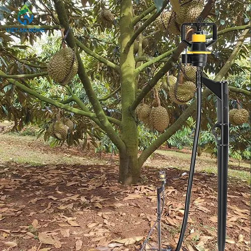 giai phap tuoi goc cho cay sau rieng 9