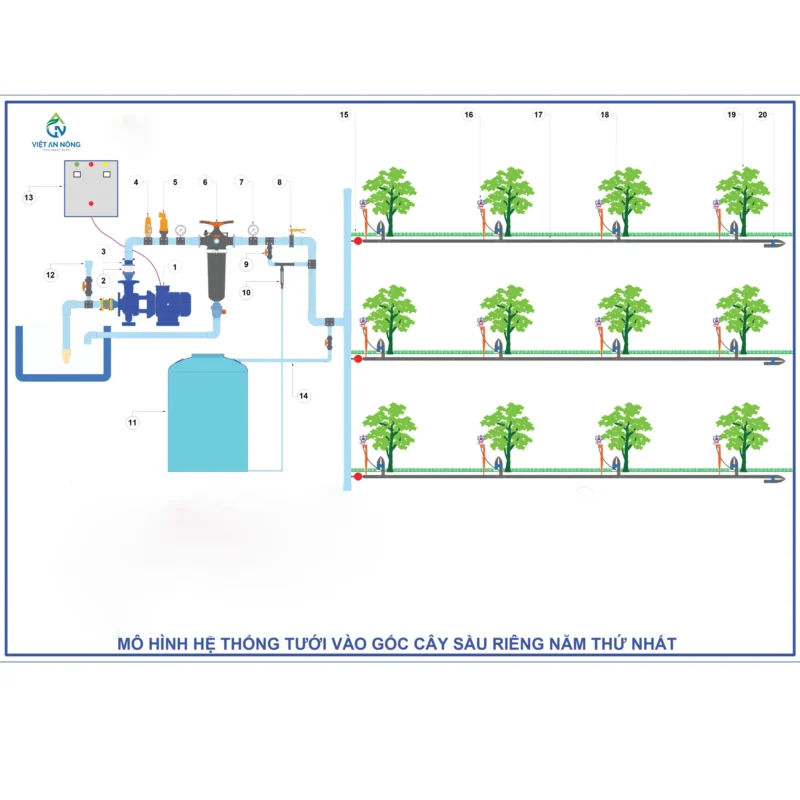 he thong tuoi tu dong cho cay sau rieng