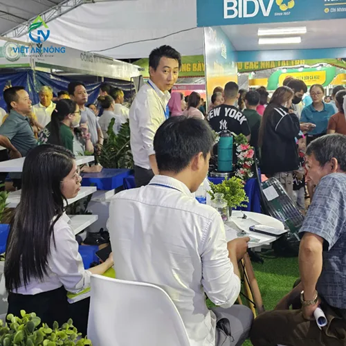 vietannong dong hanh cung le hoi sau rieng tai krong pac 14