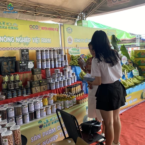 vietannong dong hanh cung le hoi sau rieng tai krong pac 5