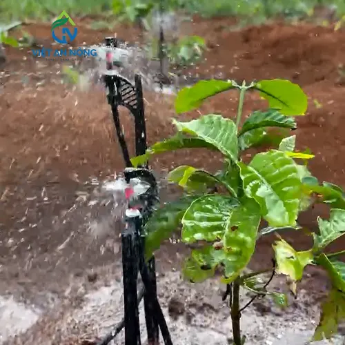 Bec tuoi goc phun mua chinh ban kinh G5 9