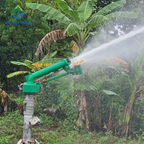 Cac loai sung tuoi ca phe ban kinh lon chat luong nhat 2024 1