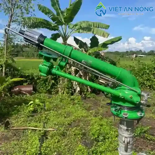 Cac loai sung tuoi ca phe ban kinh lon chat luong nhat 2024 3