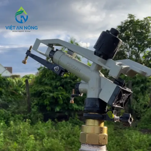 Cac loai sung tuoi ca phe ban kinh lon chat luong nhat 2024 4