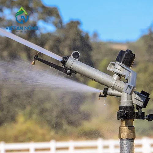 Cac loai sung tuoi ca phe ban kinh lon chat luong nhat 2024 5