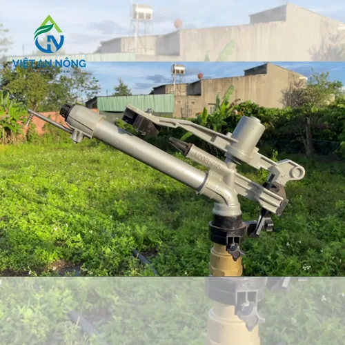 Cac loai sung tuoi ca phe ban kinh lon chat luong nhat 2024 6