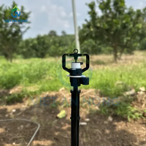 Hệ thống tưới cây bưởi