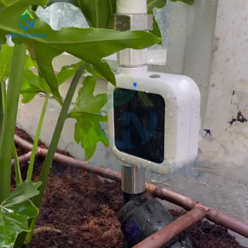 du an lap dat bo hen gio tuoi tu dong 10