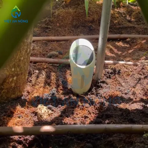 du an lap dat bo hen gio tuoi tu dong 12