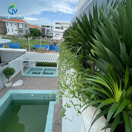 du an tuoi canh quan tu dong