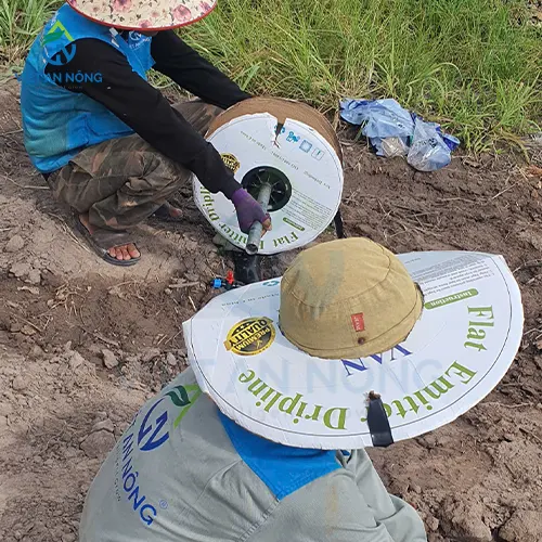 he thong tuoi nho giot cho mo hinh thu nghiem bap 5