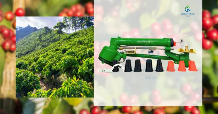 Tuoi ca phe bang bec tuoi ca phe SKY 41 PRO 8