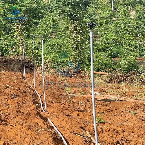 Tuoi ca phe hieu qua voi bec tuoi canh dap AQ46 2