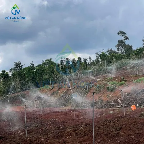 Tuoi ca phe hieu qua voi bec tuoi canh dap AQ46 4