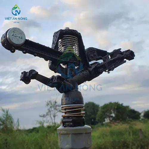 Tuoi ca phe hieu qua voi bec tuoi canh dap AQ46 6