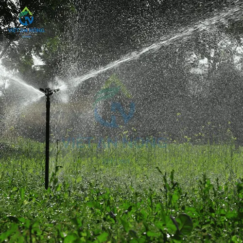 Tuoi ca phe hieu qua voi bec tuoi canh dap AQ46 7