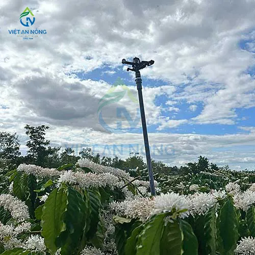 Tuoi ca phe hieu qua voi bec tuoi canh dap AQ46