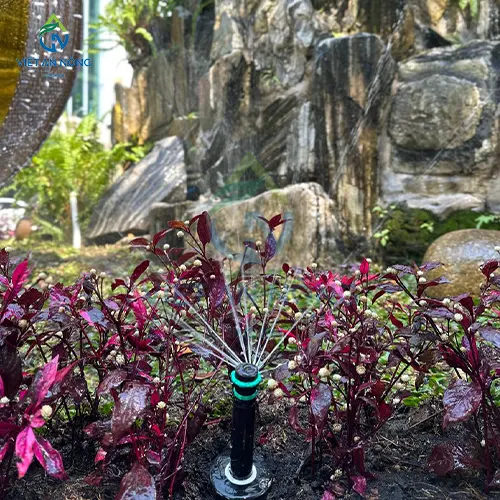 du an tuoi canh quan cong truong Me Linh 2