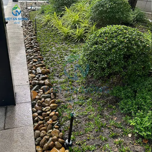 Tưới cảnh quan tự dộng bằng vời phun Rotary
