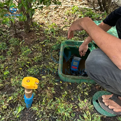 du an tuoi canh quan cong truong Me Linh 7