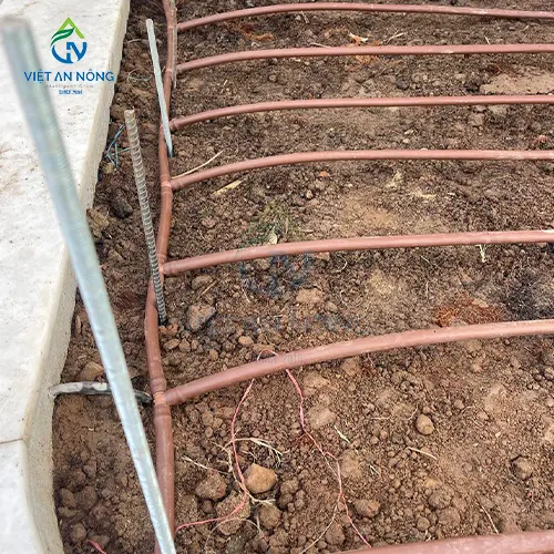 GIAI PHAP TUOI NHO GIOT CHO CAY CA PHE TANG NANG SUAT 14