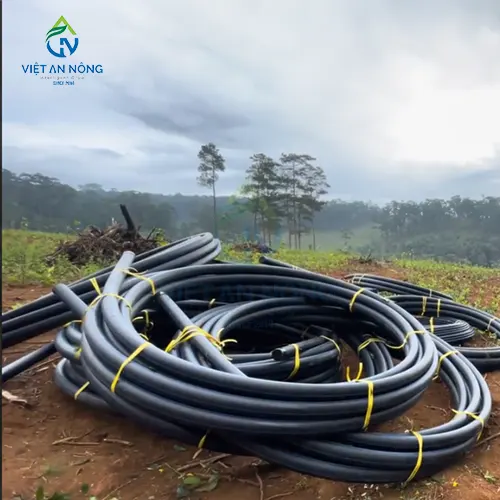 GIAI PHAP TUOI NHO GIOT CHO CAY CA PHE TANG NANG SUAT 16