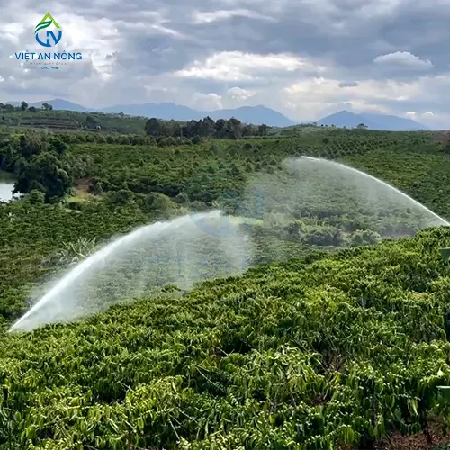 Lich Su Hinh Thanh He Thong Tuoi Ca Phe O Viet Nam 4