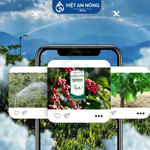 VIET AN NONG DONG HANH CUNG LE HOI CA PHE BUON MA THUOT 2