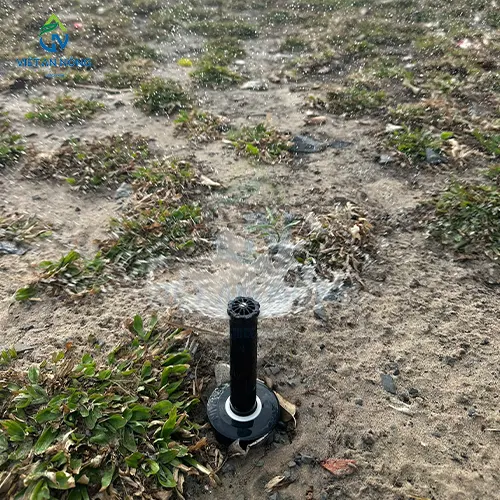 Du an lap dat he thong tuoi canh quan cho resort o Binh Thuan 1