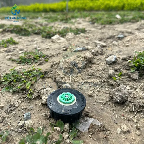 Du an lap dat he thong tuoi canh quan cho resort o Binh Thuan 2