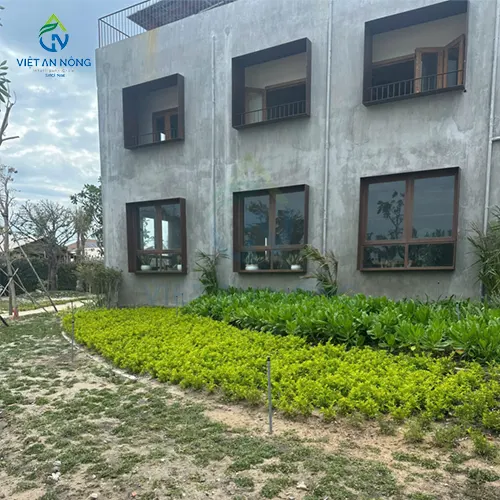 Du an lap dat he thong tuoi canh quan cho resort o Binh Thuan 6