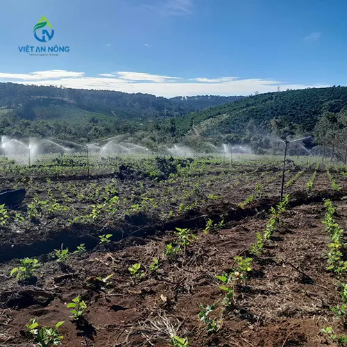 giai-phap-he-thong-tuoi-tu-dong