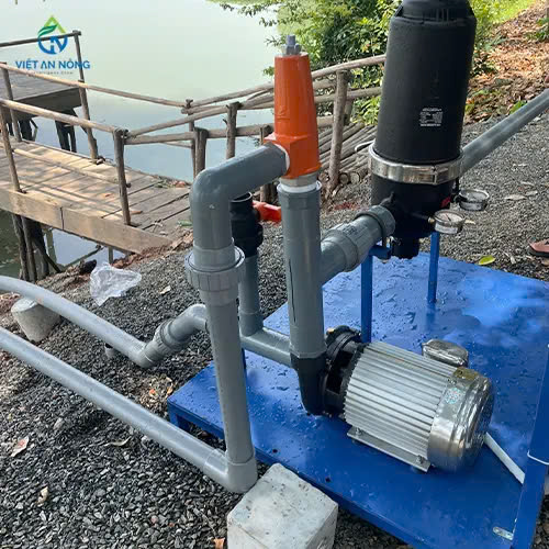 giai-phap-tuoi-nho-giot-giup-cay-ca-chua-dat-nang-suat-cao