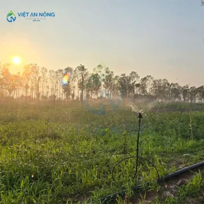 giai phap he thong tuoi tu dong 2