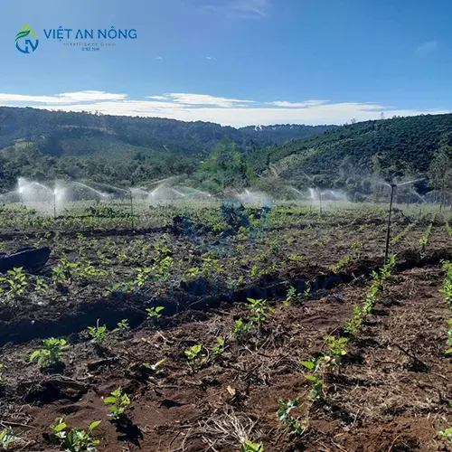 giai phap he thong tuoi tu dong 4