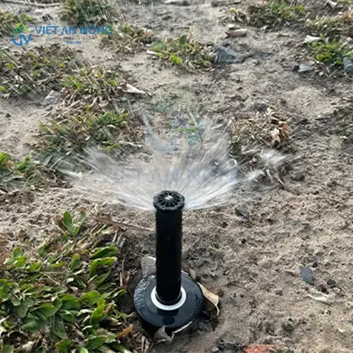 bec-tuoi-cay-loai-nao-tuoi-duoc-xa-vadeu-nuoc-nahat-hien-nay