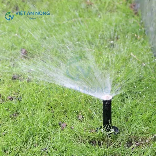 bec-tuoi-cay-loai-nao-tuoi-duoc-xa-và deu-nuoc-nhat