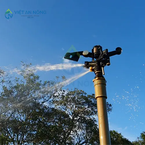 bec-tuoi-cay-loai-nao-tuoi-duoc-xa-và deu-nuoc-nhat