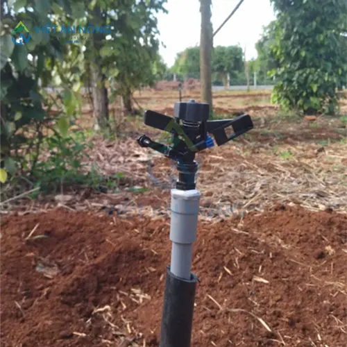 bec-tuoi-cay-loai-nao-tuoi-xa-va-deu-nuoc-nhat-hien-nay