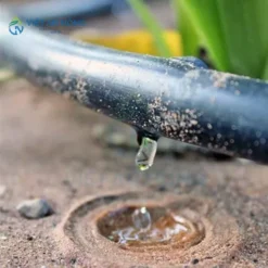 Hệ thống tưới nhỏ giọt