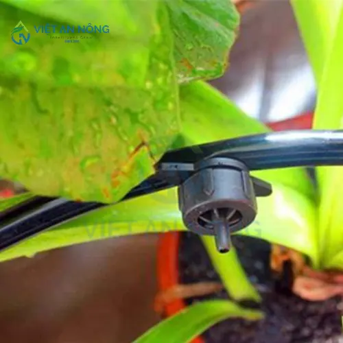 kinh-ngiem-chon-he-thong-tuoi-nho-giot-cho-dua-luoi