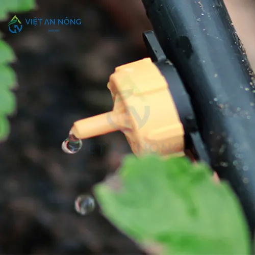 kinh-ngiem-chon-he-thong-tuoi-nho-giot-cho-dua-luoi