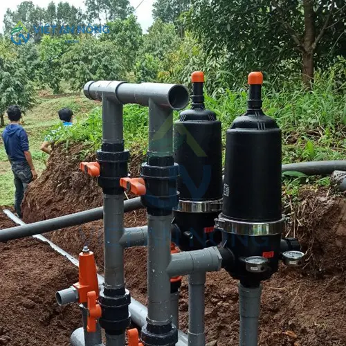 giai-phap-tuoi-nho-giot-giup-cay-ca-chua-dat-nang-suat-cao