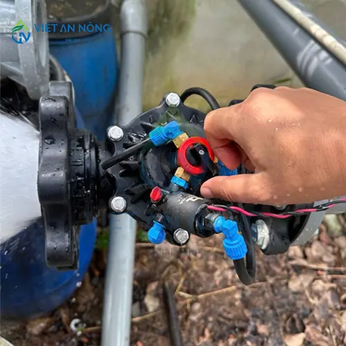 giai-phap-tuoi-nho-giot-hieu-qua-cho-cay-bo-tiet-kiem-nuoc-va-tang-nang-suat