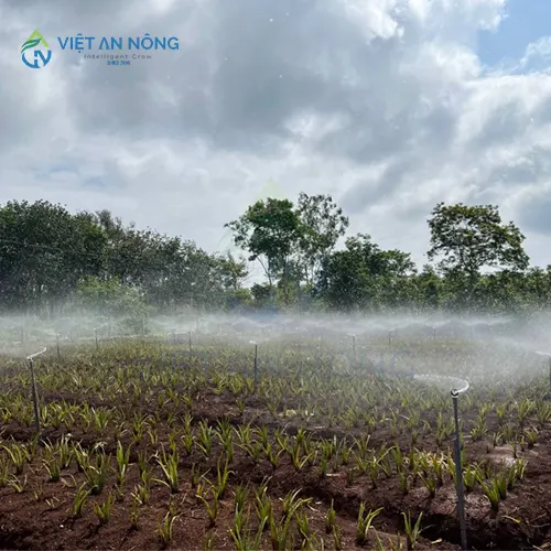 he-thong-tuoi-cay-nao-tiet-kiem-nuoc-va-chi-phi-nhat-hien-nay