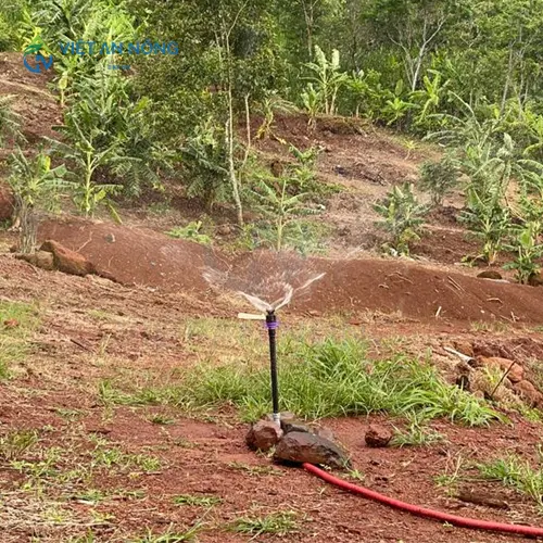 he-thong-tuoi-cay-nao-tiet-kiem-nuoc-va-chi-phi-nhat-hien-nay