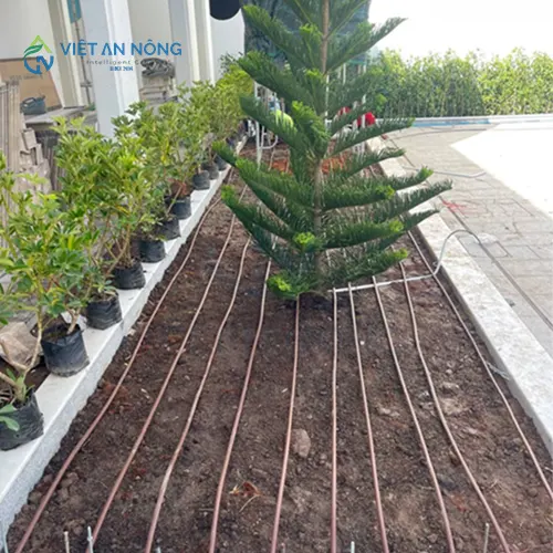 he-thong-tuoi-cay-nao-tiet-kiem-nuoc-va-chi-phi-nhat-hien-nay