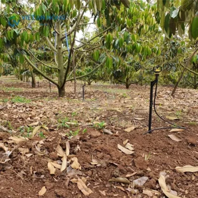 bec-tuoi-cay-loai-nao-tuoi-duoc-xa-và deu-nuoc-nhat